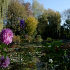 parfum d'automne à Giverny