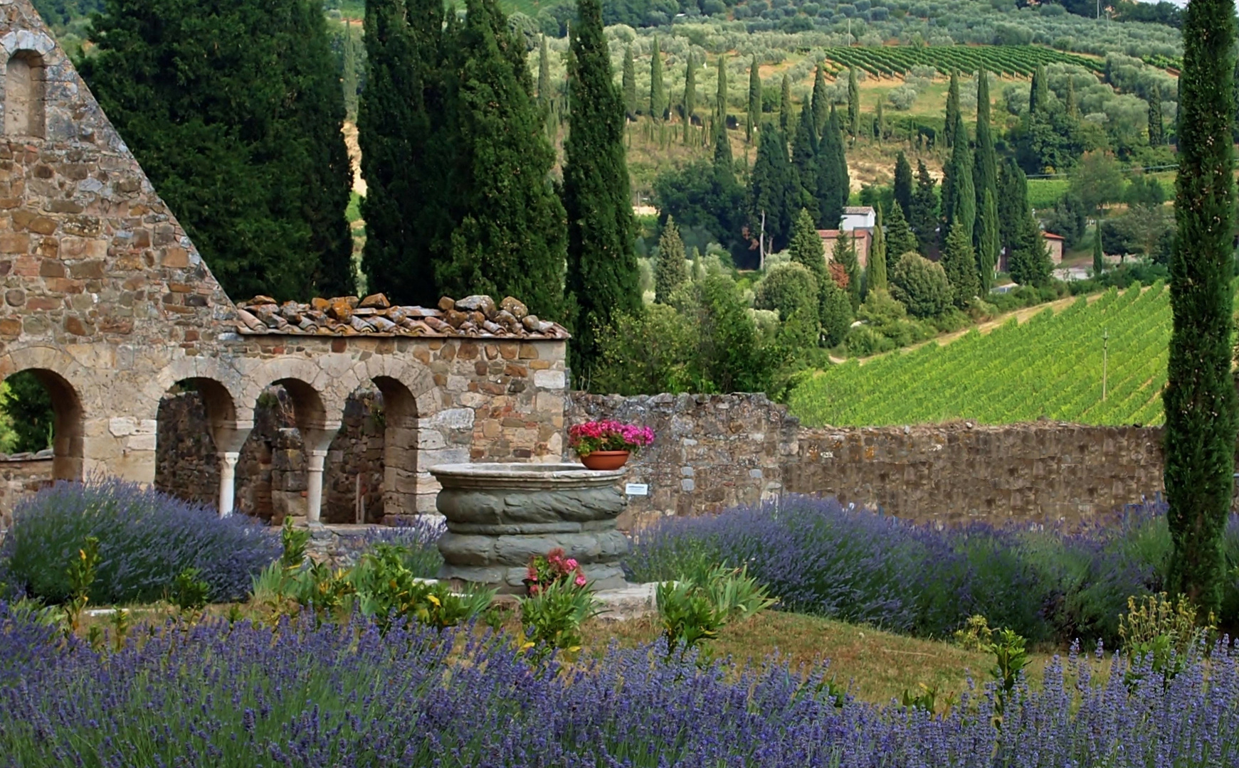 parfum de provence..... à san antimo