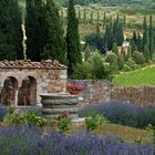 parfum de provence..... à san antimo