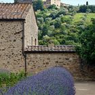 parfum de provence...