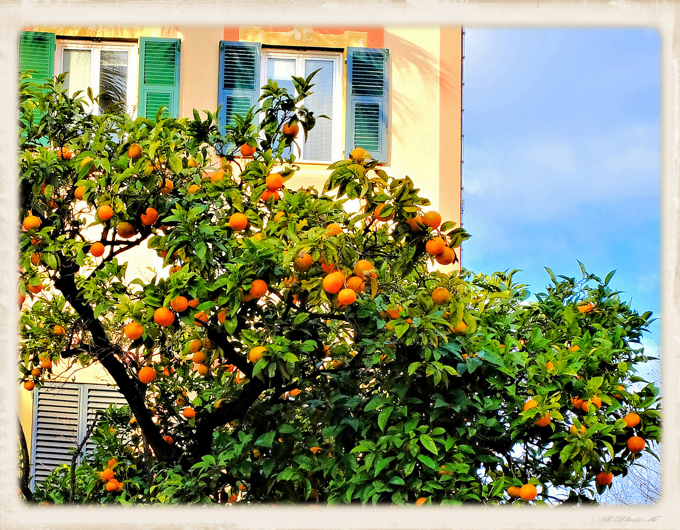 Parfum d'Italie