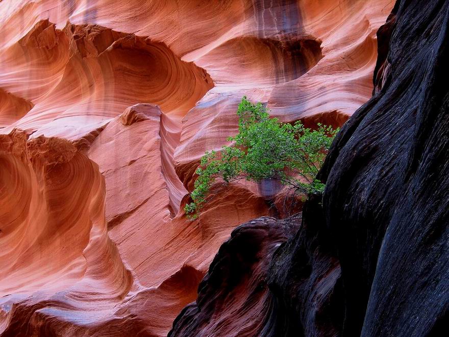 Paria Canyon - Felswand