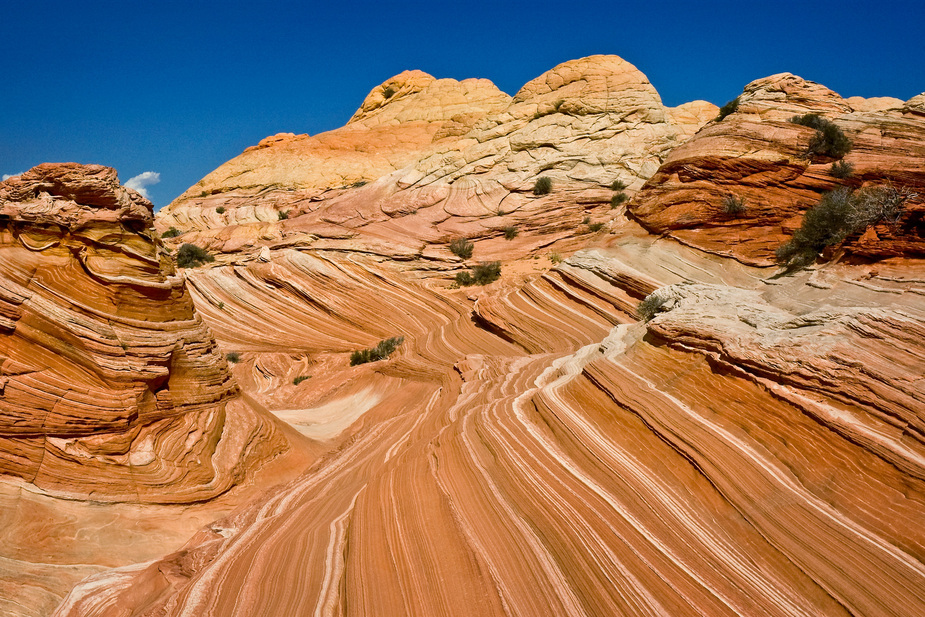 Paria Canyon / Vermillion Cliffs N.M. II - Utah - USA