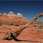 Paria Canyon Wilderness, Arizona