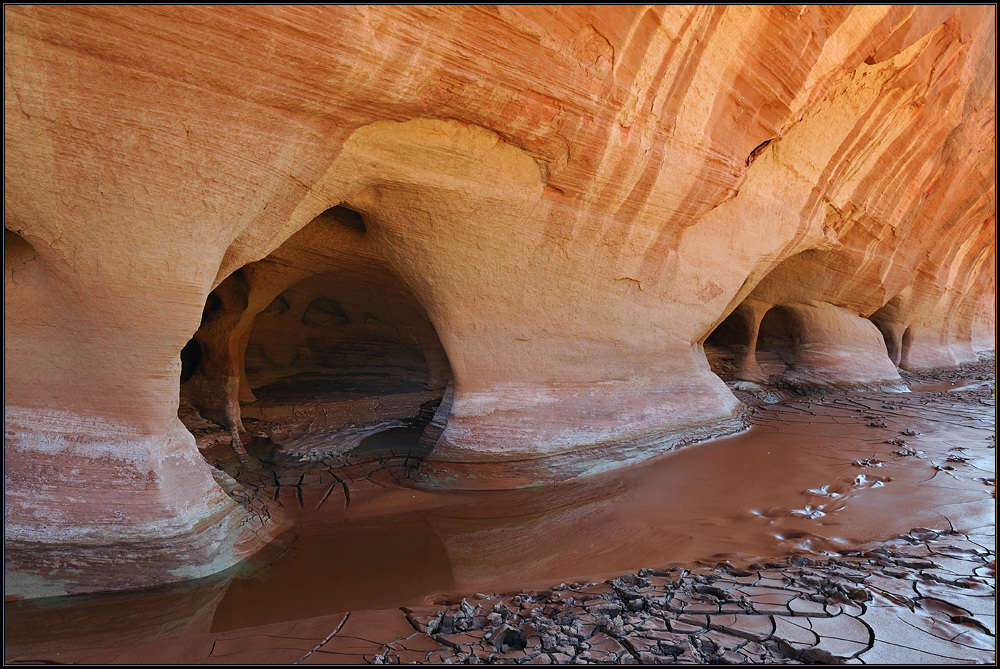 *Paria River & Mud*