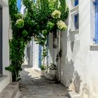 Parikia auf Paros