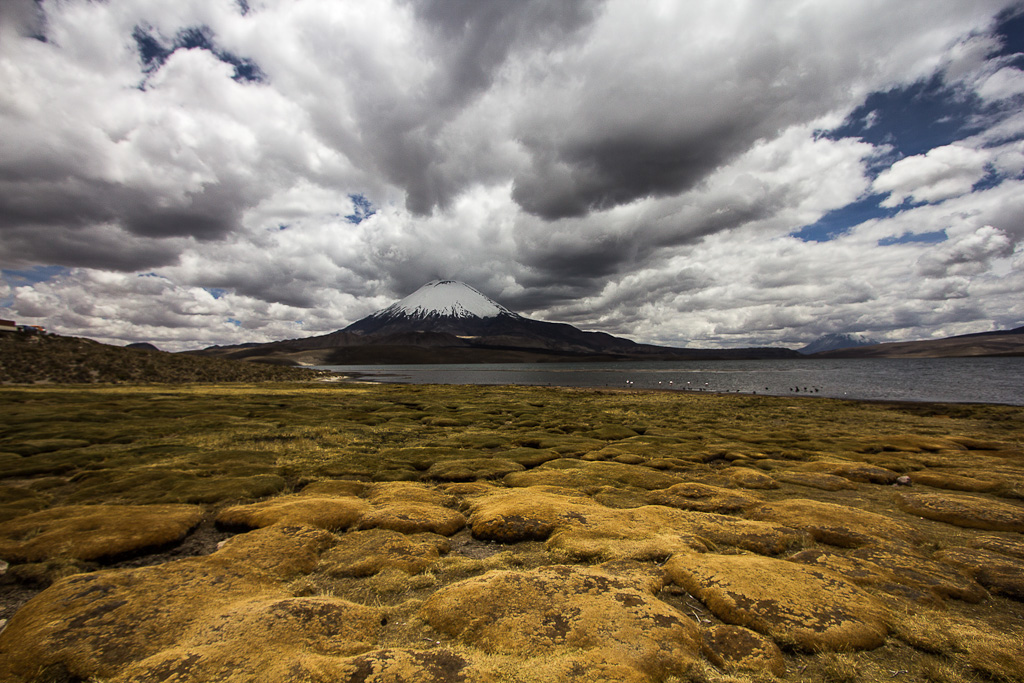 Parinacota