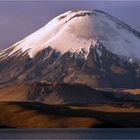 PARINACOTA 6348M