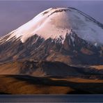 PARINACOTA 6348M