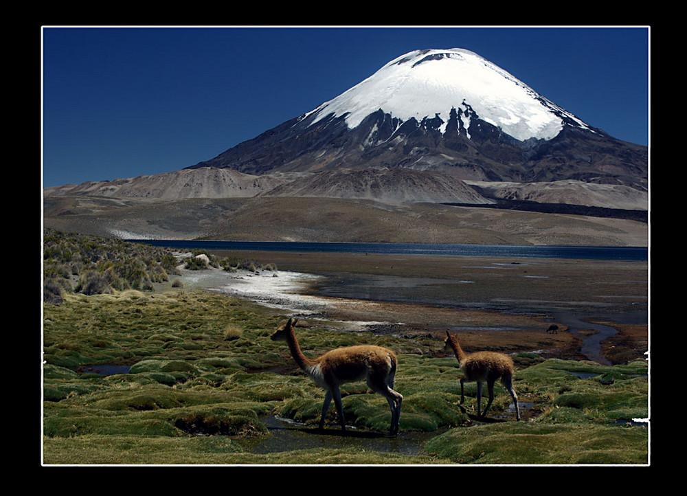 Parinacota