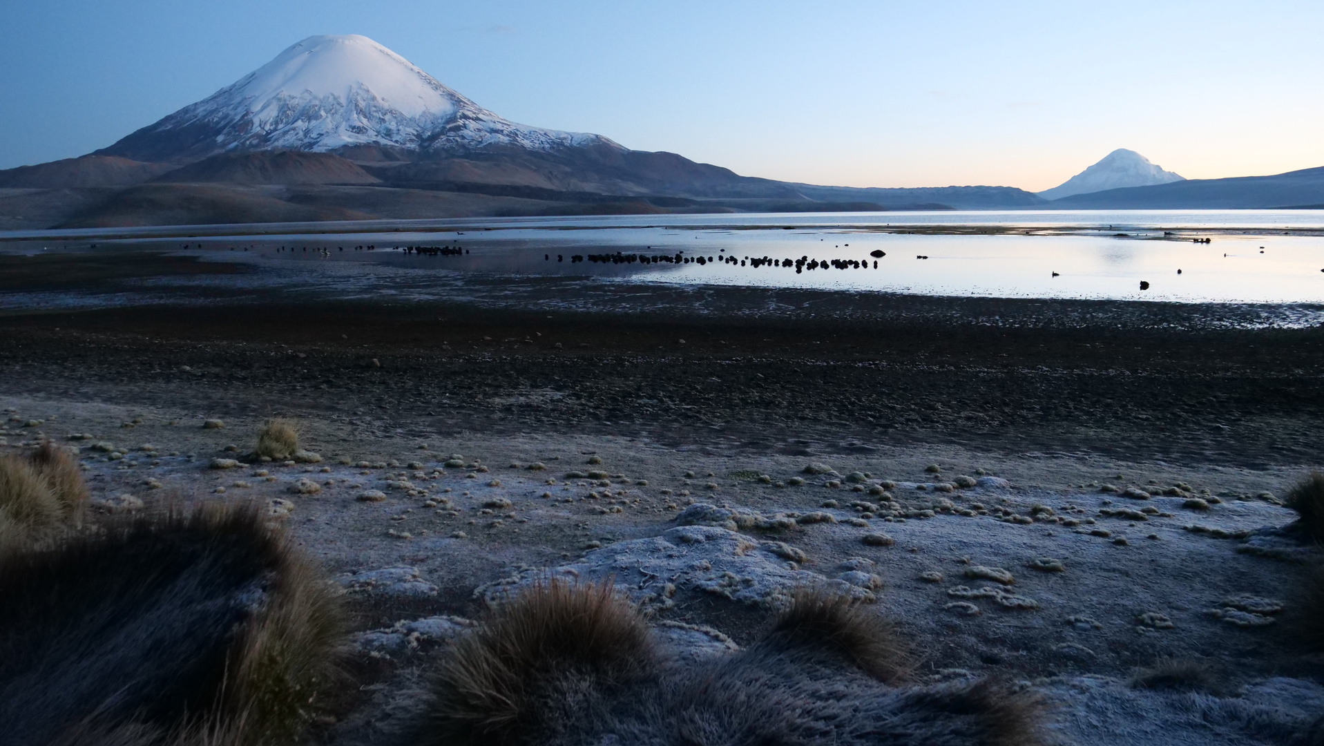 Parinacota am Lago Chungara