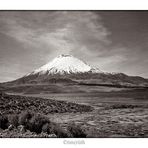 Parinacota