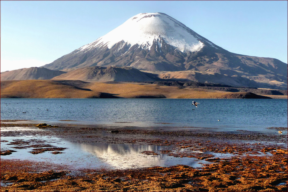 PARINACOTA