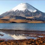 PARINACOTA