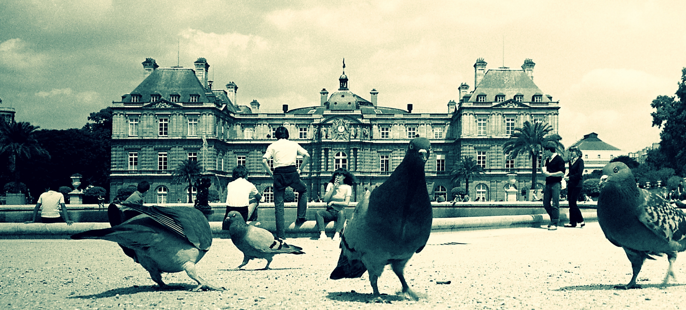 Paris 1982 Jardin du Luxembourg