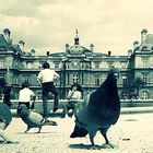 Paris 1982 Jardin du Luxembourg