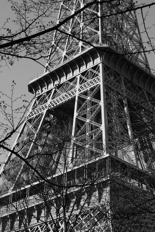 Paris 2007 - La Tour Eiffel