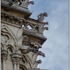 Paris 2015 - Notre Dame-Detail