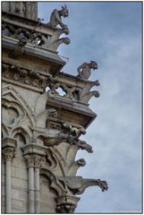 Paris 2015 - Notre Dame-Detail