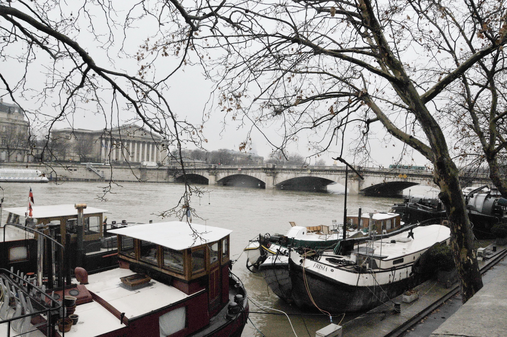 Paris 28 Décembre 2010 (9)