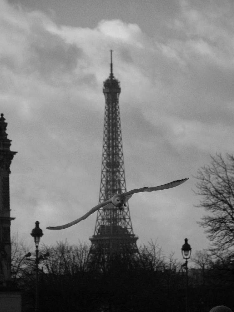 Paris.