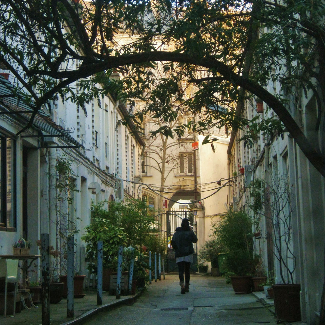 Paris caché .......ici la citée Pilleux Paris XVIII arr