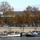 Paris Commémoration de l'armistice