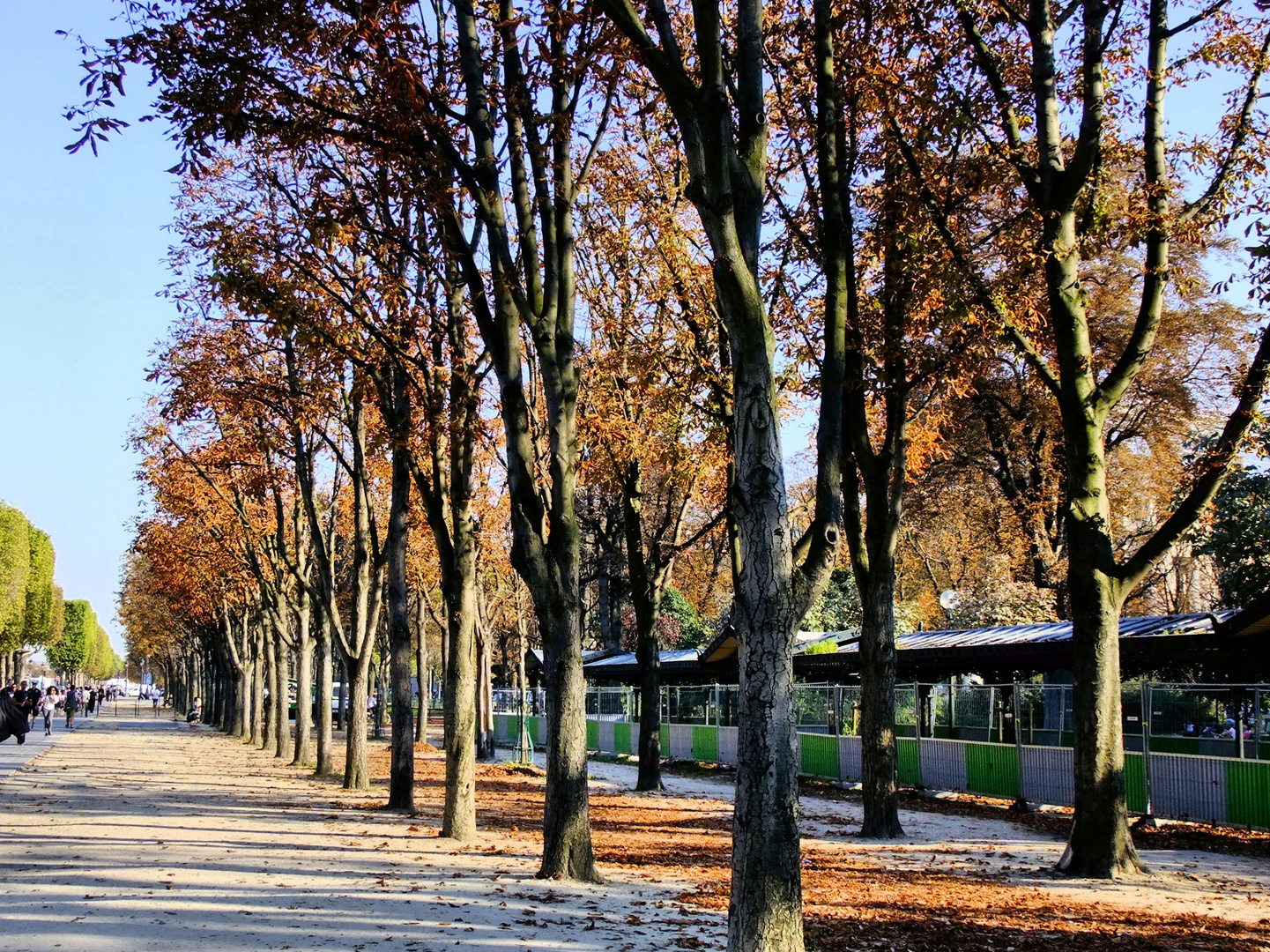 Paris d'Automne. 2