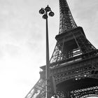 PARIS - Der Eifelturm.