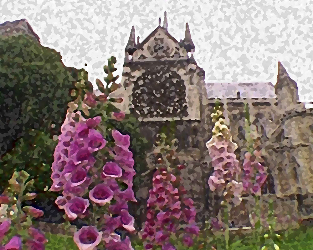 Paris Digital - Notre-Dame with Flowers