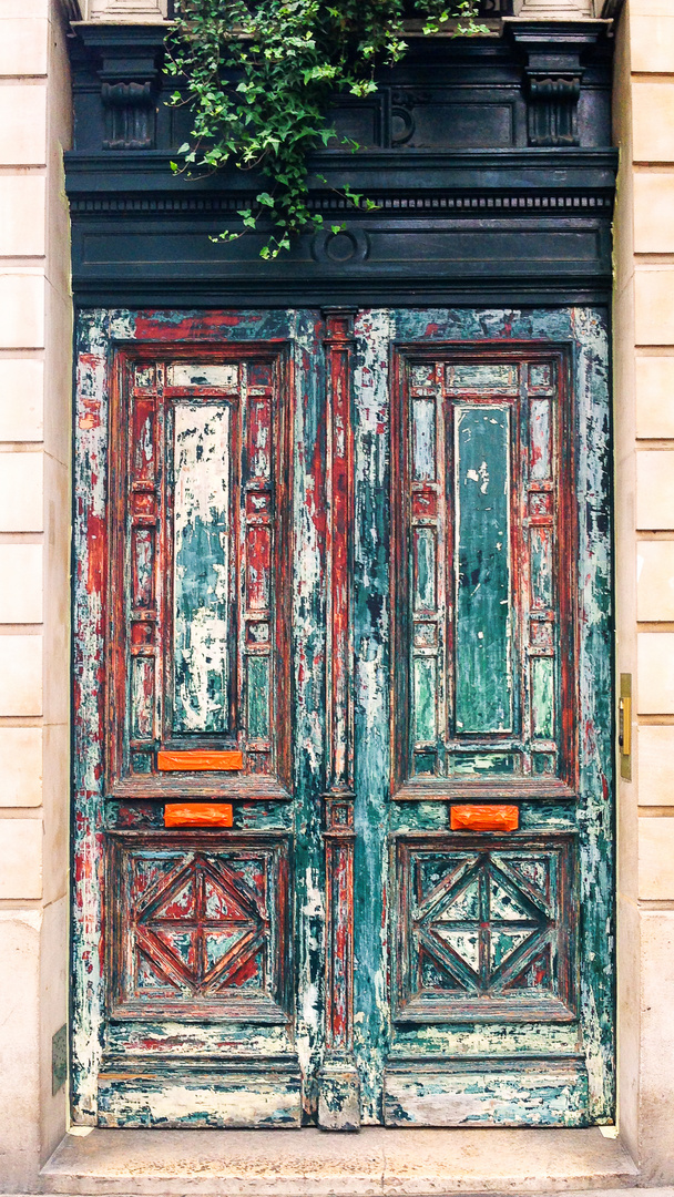 PARIS DOOR