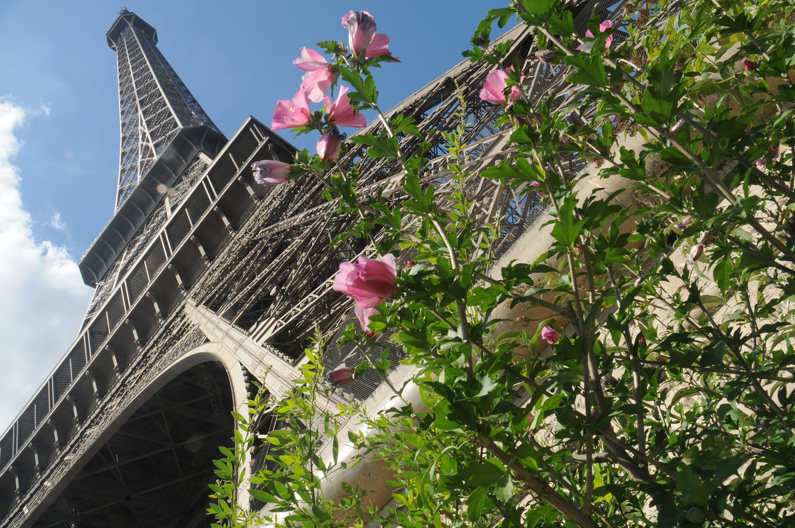 Paris. Eiffel 2013