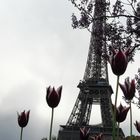 Paris Eiffelturm