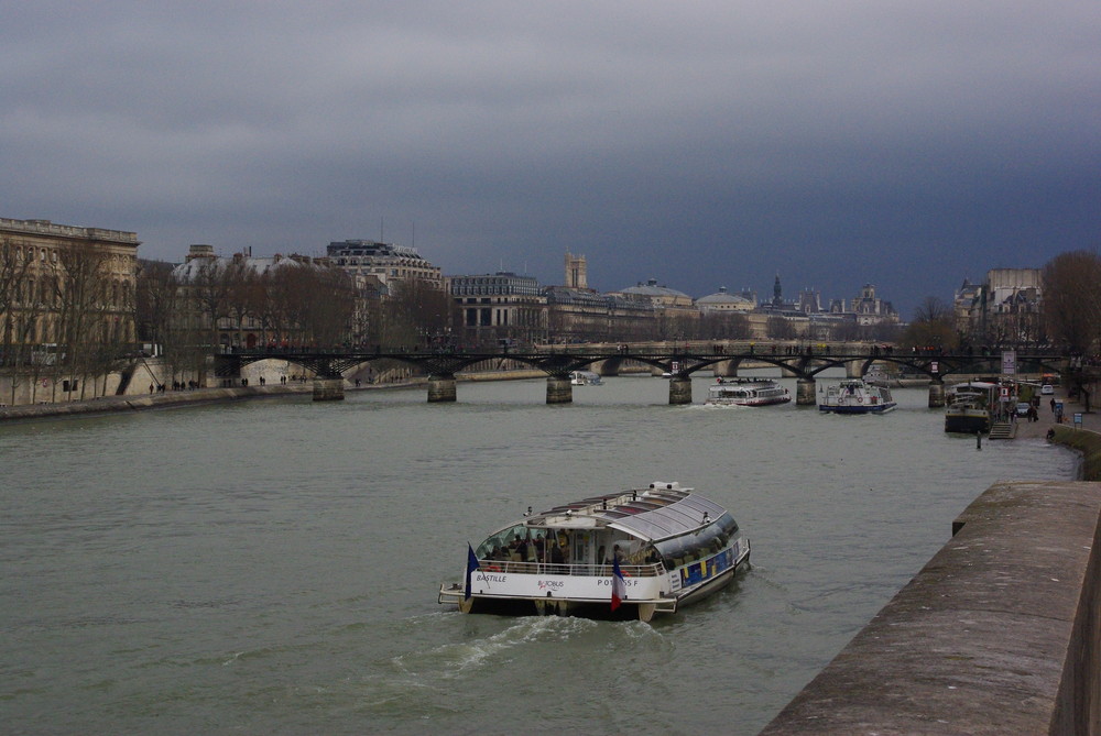 Paris en seine