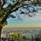 Paris et les secteurs de verdure.