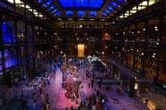 Paris - Grande Galerie de l' Evolution