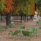 Paris - Herbst im Jardin des Tuileries