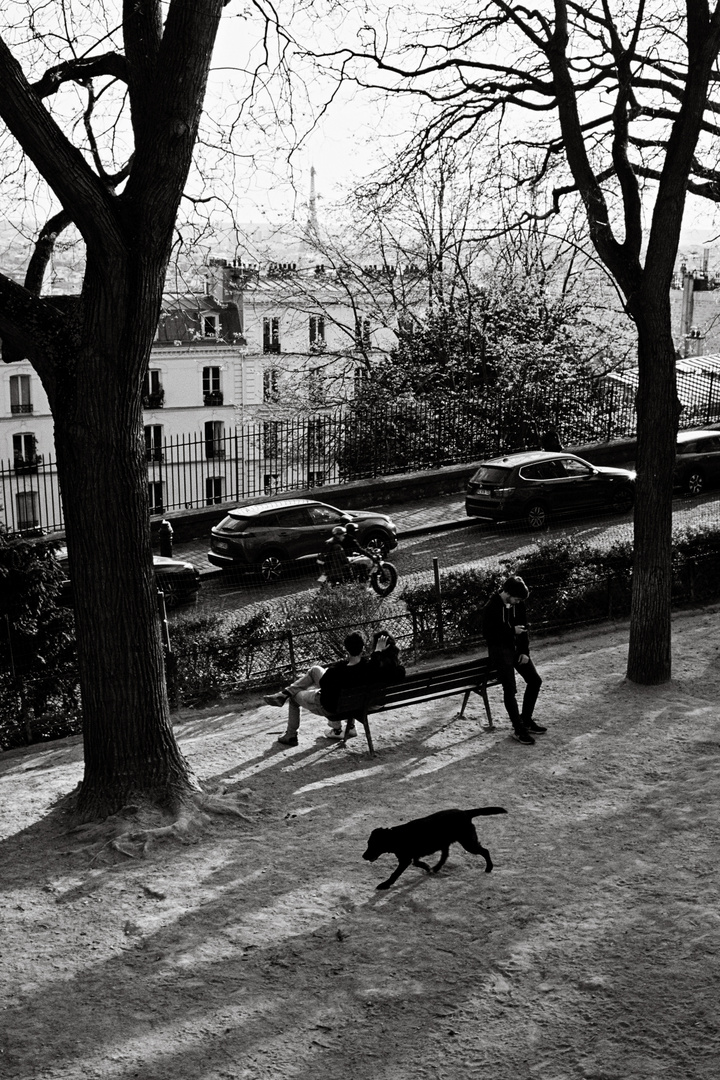 Paris Hundepark