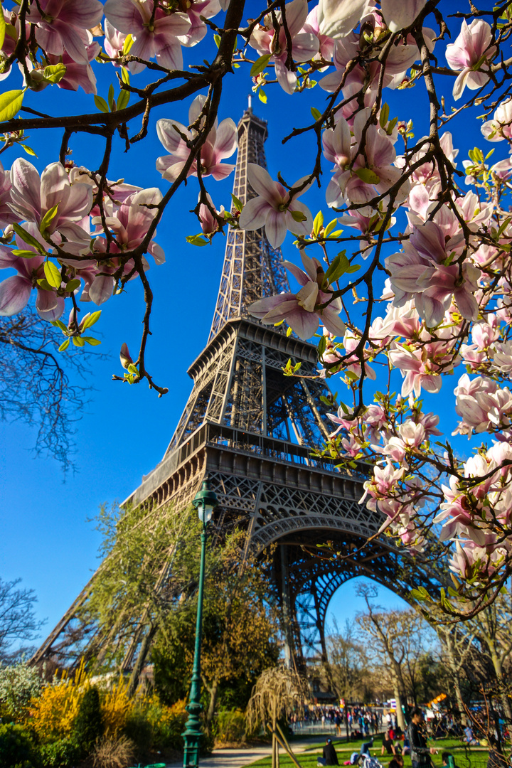 Paris im Frühling 