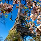 Paris im Frühling <3