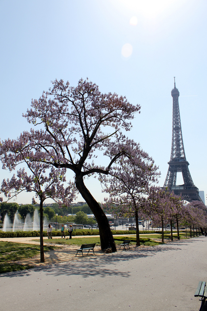 Paris im Frühling