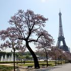 Paris im Frühling