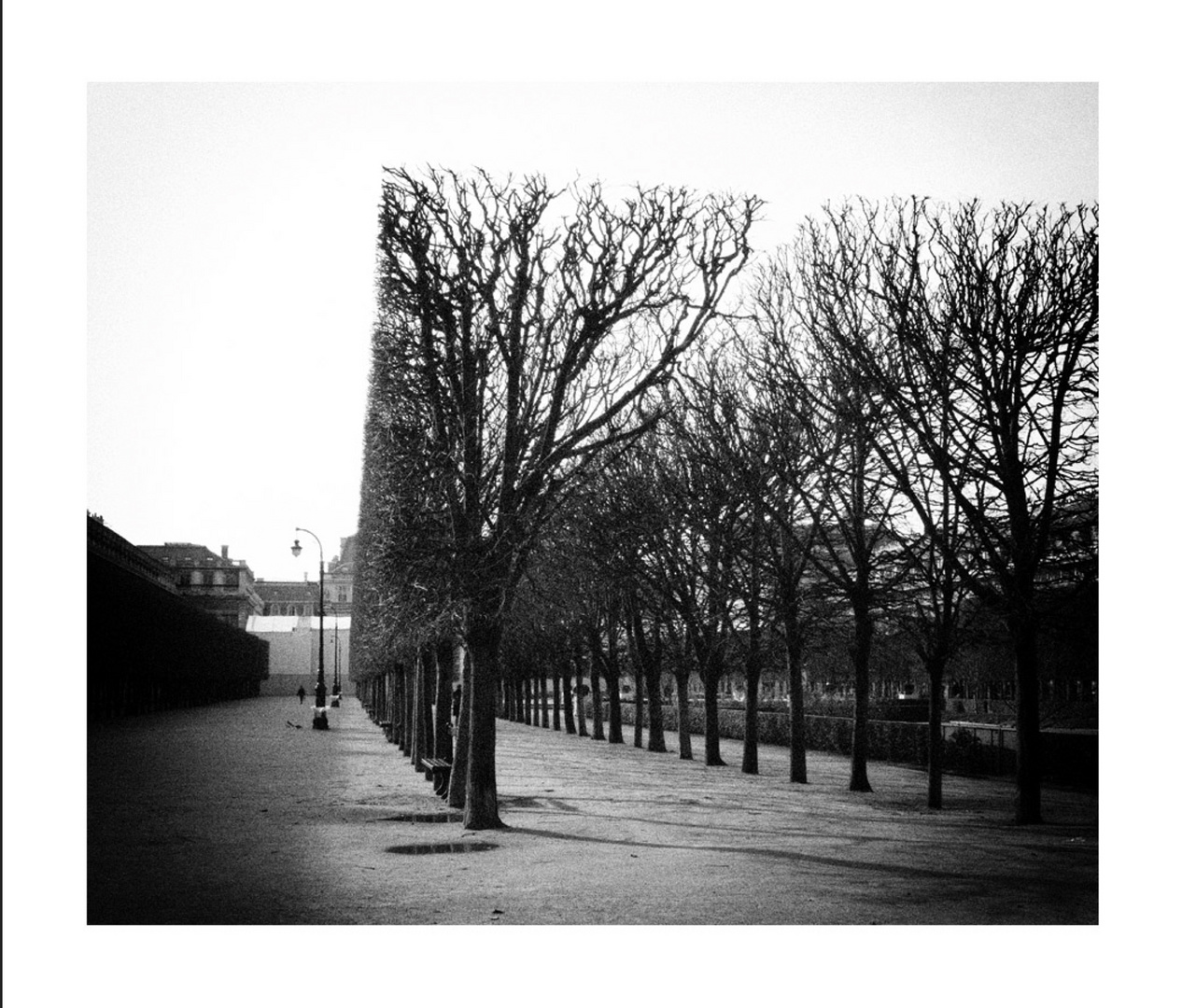 Paris ... Jardin de Luxembourg