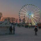 Paris - Jardin des Tuileries