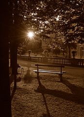 Paris - Jardin du Luxembourg