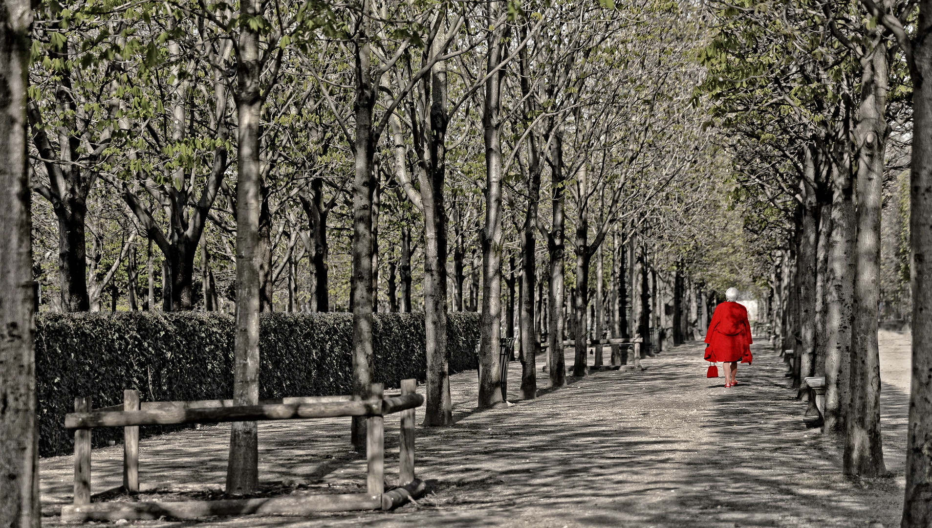 Paris. La femme en rouge.