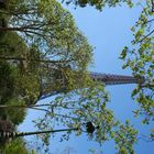 Paris La Tour Eiffel