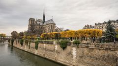 Paris - Île de la Cité - Pont de l'Archevêché - Notre Dame - 05