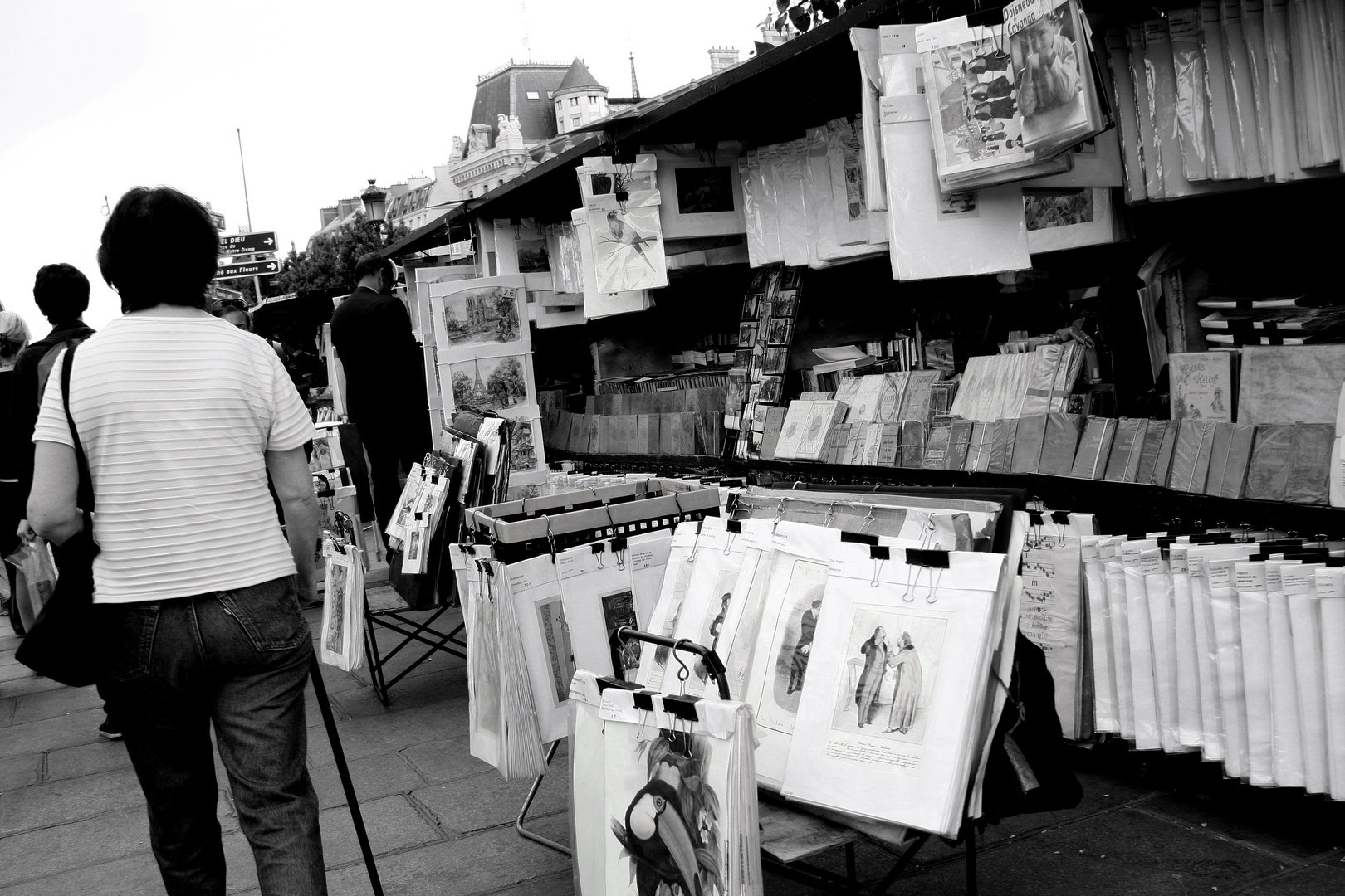 Paris les Quais