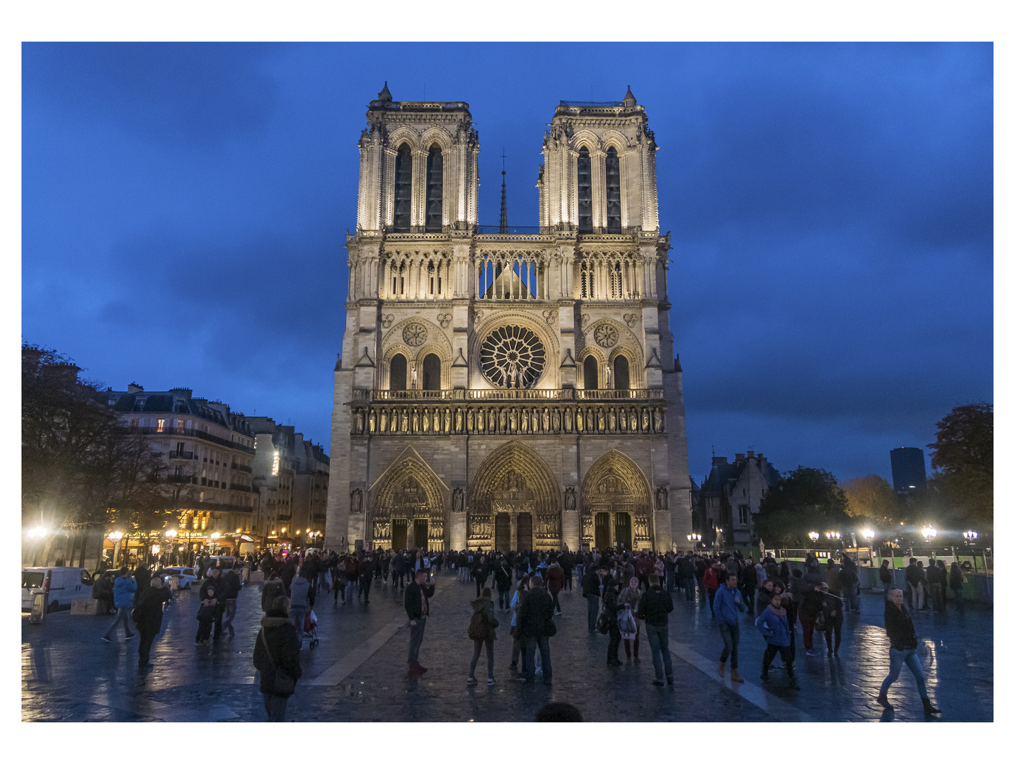 Paris No. 6  Notre Dame by Night